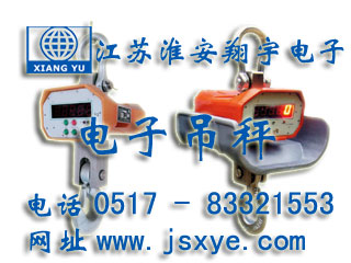 直顯電子吊秤,遙控電子吊秤,直顯吊秤,遙控吊秤,電子吊秤,電子吊秤廠(chǎng)家