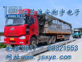 數字汽車(chē)衡,數字電子汽車(chē)衡,數字汽車(chē)衡廠(chǎng)家,數字信號汽車(chē)衡,XYTS-D,汽車(chē)衡,汽車(chē)衡廠(chǎng)家