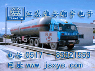防爆汽車(chē)衡,防爆式汽車(chē)衡,防爆電子汽車(chē)衡,防爆式電子汽車(chē)衡,防爆汽車(chē)衡廠(chǎng)家,防爆電子汽車(chē)衡廠(chǎng)家,XYTS-EX