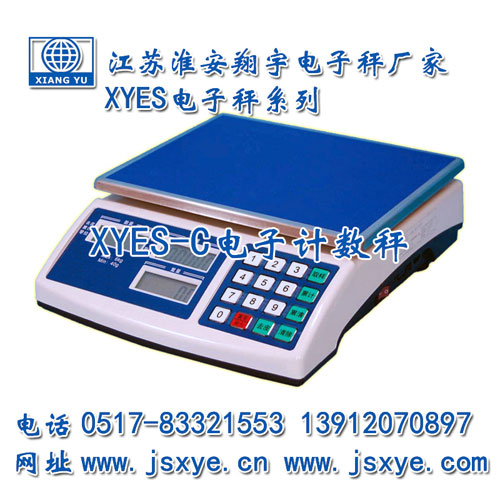 計數秤,計數秤廠(chǎng)家,江蘇計數秤,淮安計數秤,電子秤,電子秤廠(chǎng)家,XYES