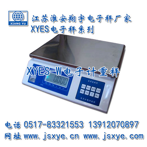 計重秤,計重秤廠(chǎng)家,江蘇計重秤,淮安計重秤,電子秤,電子秤廠(chǎng)家,XYES