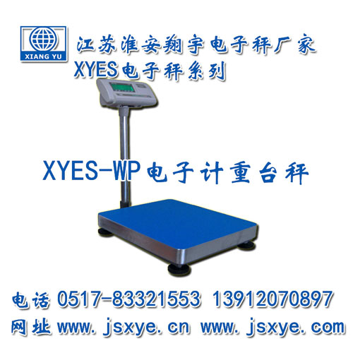 計重臺秤,計重臺秤廠(chǎng)家,臺秤,臺秤廠(chǎng)家,江蘇臺秤,淮安臺秤,XYES